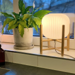 Vinda Bordslampa Liten Opalglas/Tr