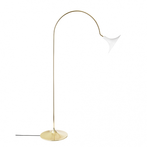 Petalii Golvlampa White/Polished Brass i gruppen Belysning / Inomhus / Golvlampor hos Vxj Elektriska (NUU-2117001)