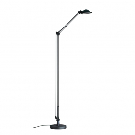 Berenice D12NT Golvlampa Black