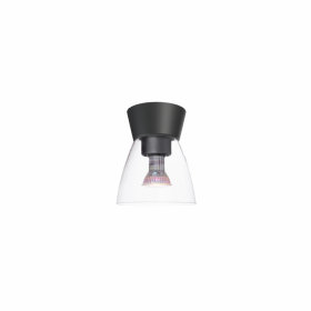 Bizzo Plafond Svart/Klarglas IP21