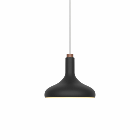 Fuji Pendel Svart