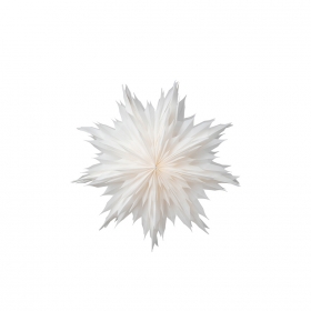 Oslo Stjärna 60cm Vit