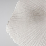 Tropez 60 Taklampa/Vägglampa Natur Tropez 60 Taklampa/Vägglampa Natur