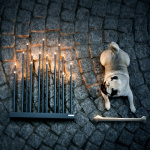 Elflugan Grande Ljusstake Antracitgrå Elflugan Grande Ljusstake Antracitgrå