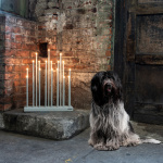 Elflugan Grande Ljusstake Off-White Elflugan Grande Ljusstake Off-White