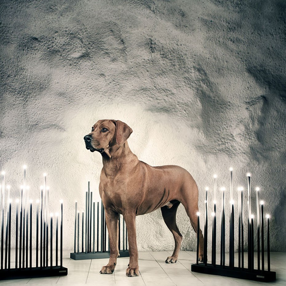 Elflugan Grande Ljusstake Off-White