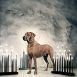 Elflugan Grande Ljusstake Off-White Elflugan Grande Ljusstake Off-White