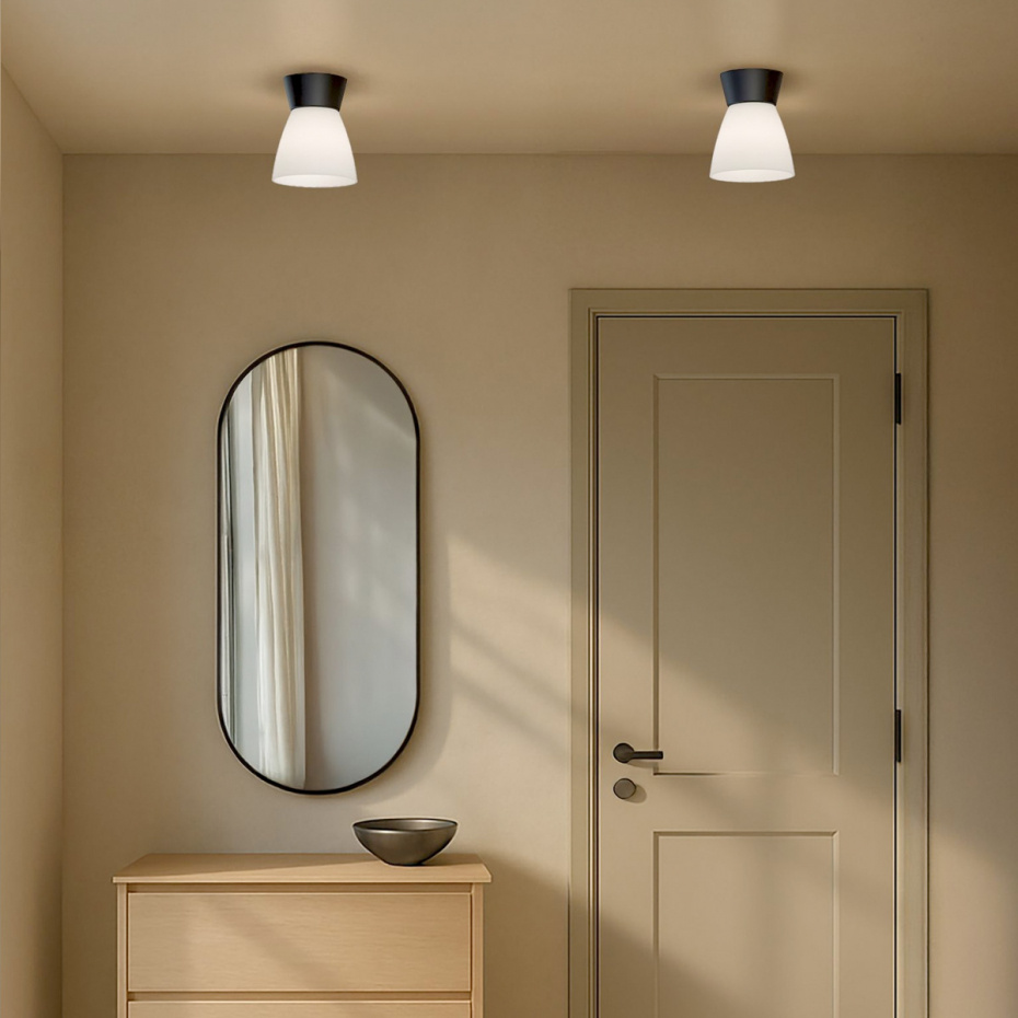 Bizzo Plafond Svart/Opalglas IP21