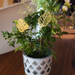 Brass Leaves Wood 2-Pack Brass Leaves Wood 2-Pack