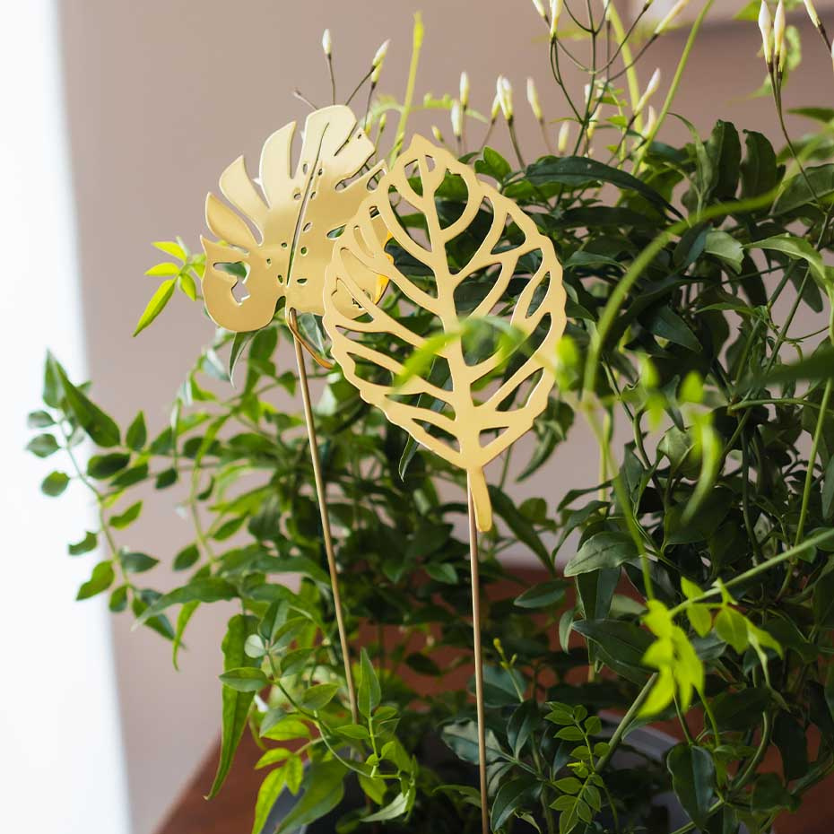 Brass Leaves Wood 2-Pack