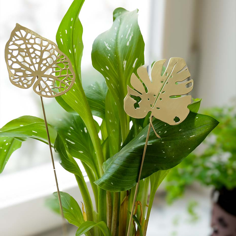 Brass Leaves Water 2-Pack