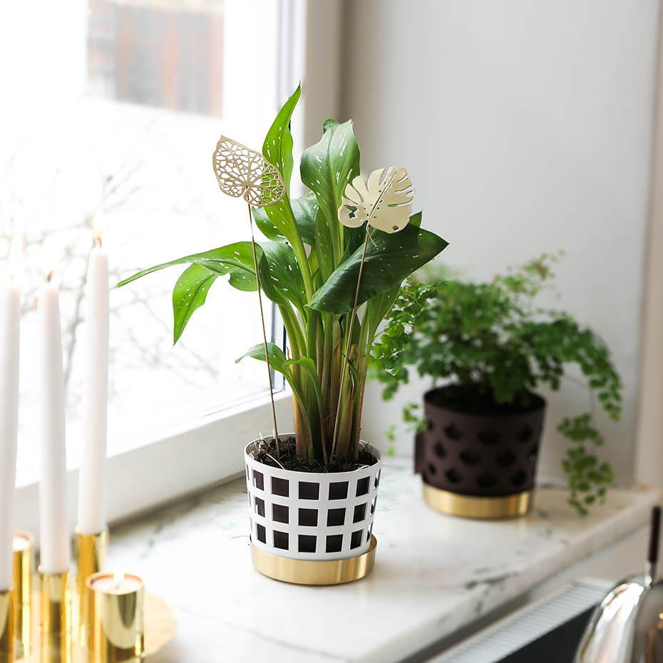 Brass Leaves Water 2-Pack