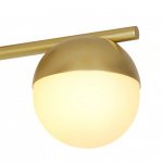 Contina Plafond Borstad Mässing Contina Plafond Borstad Mässing