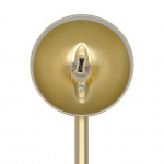 Contina Plafond Borstad Mässing Contina Plafond Borstad Mässing