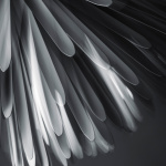 Sun Light Of Love Pendel White Sun Light Of Love Pendel White