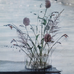 Äng Vas Stor Blå Äng Vas Stor Blå