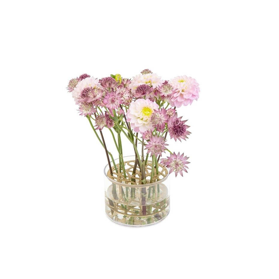 Reservglas Till Äng Vas Litet