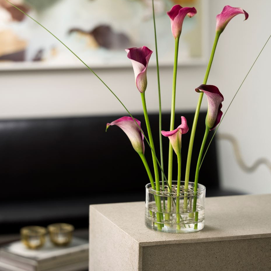 Äng Vas Liten Stål