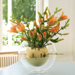 Alba Rund Vas Mässing Alba Rund Vas Mässing