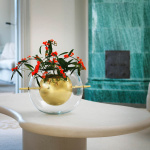 Alba Rund Vas Mässing Alba Rund Vas Mässing