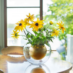 Alba Rund Vas Mässing Alba Rund Vas Mässing