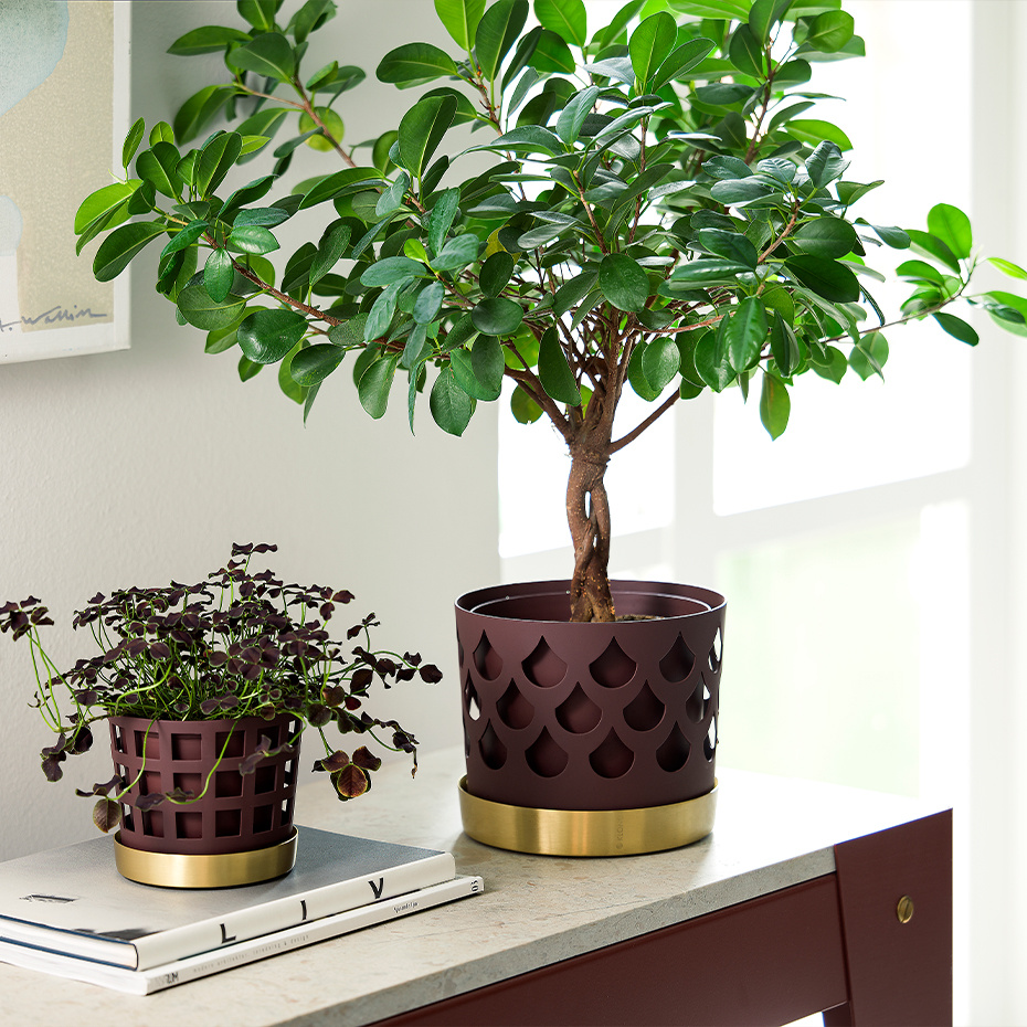 Trio Kruka Square Small Mörkröd