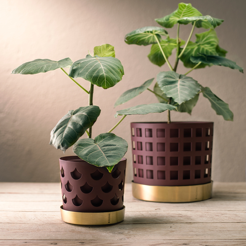 Trio Kruka Square Small Mörkröd