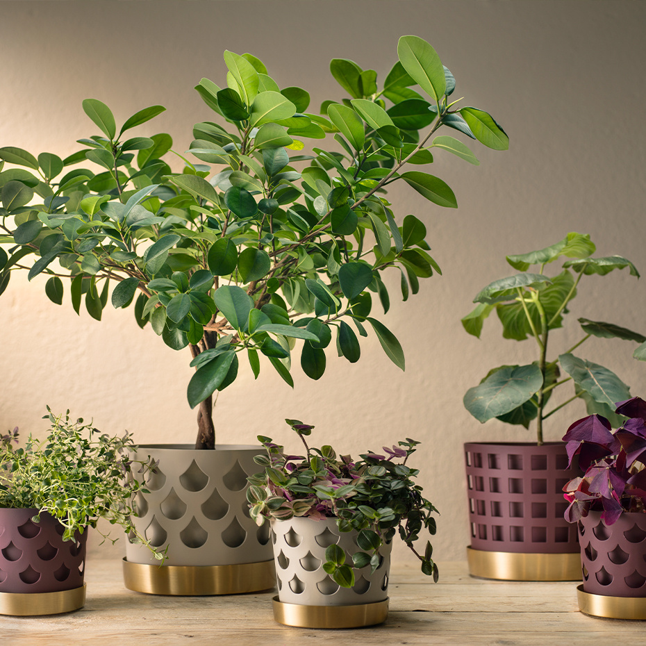 Trio Kruka Square Medium Beige