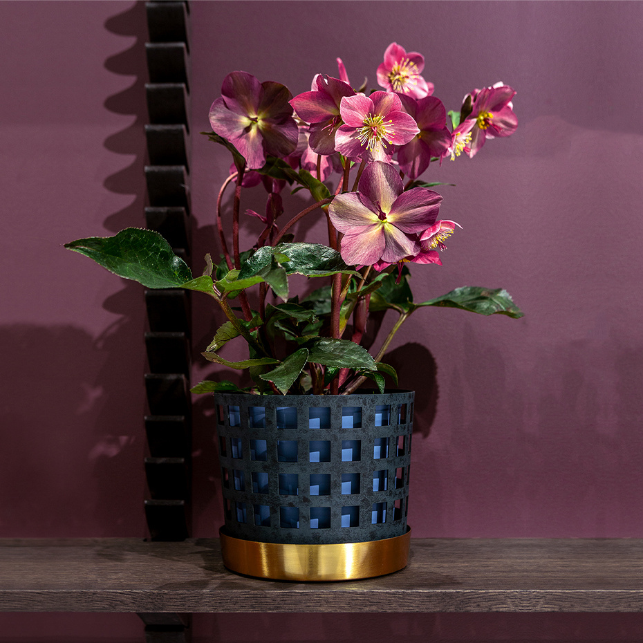 Trio Kruka Square Medium Blå