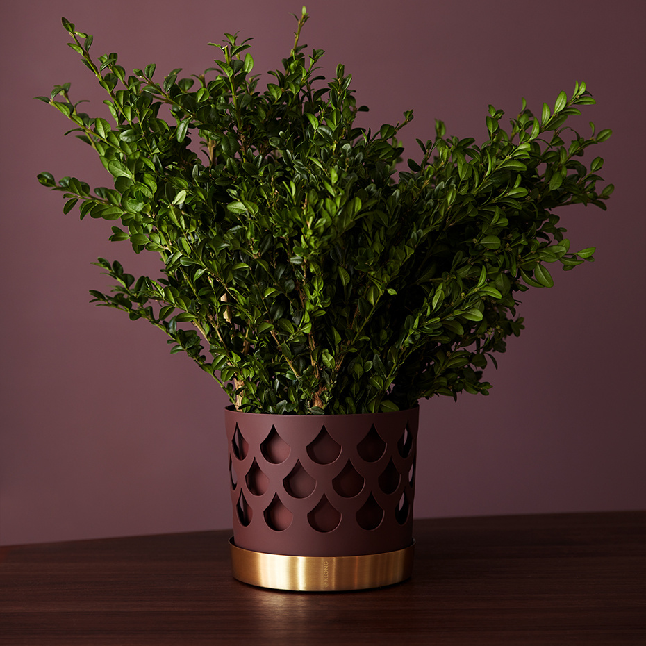 Trio Kruka Square Medium Mörkröd