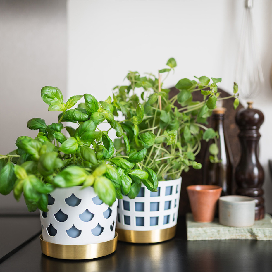 Trio Kruka Drop Small Vit