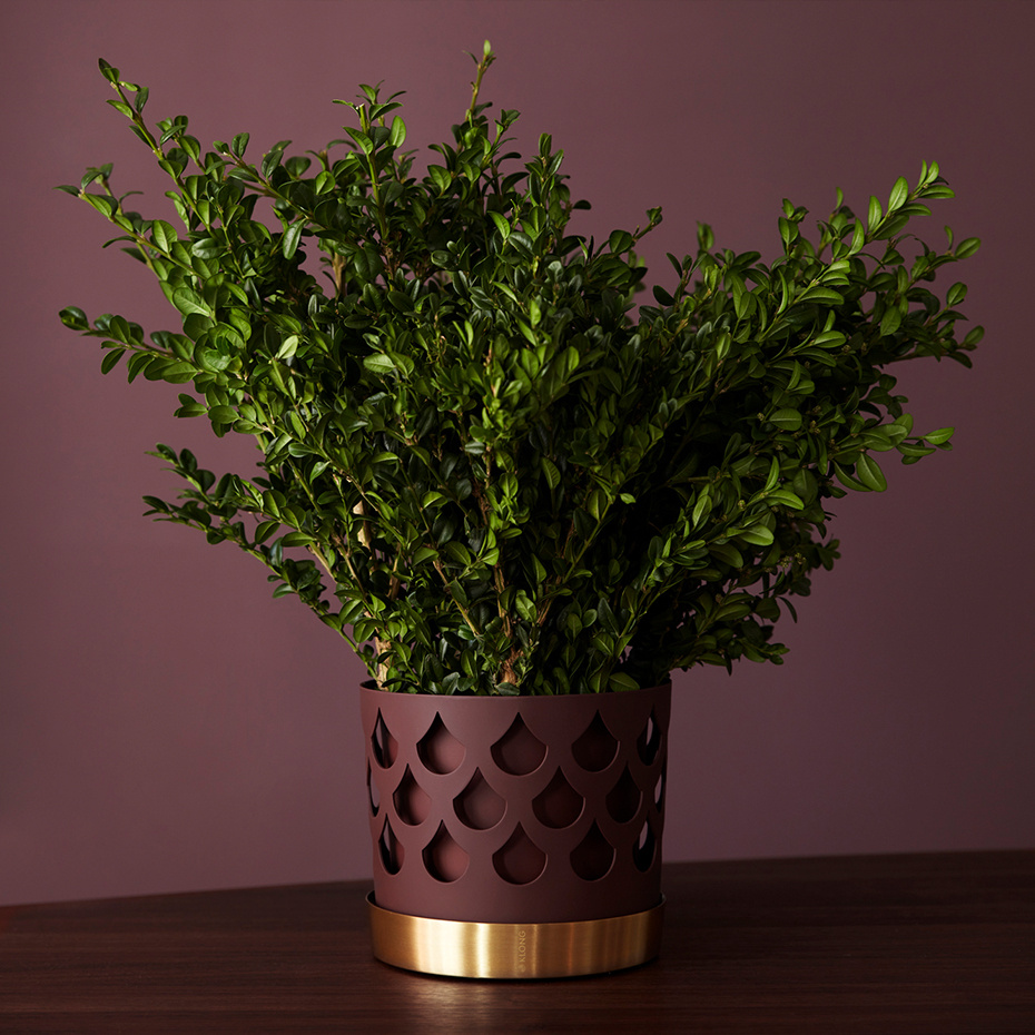 Trio Kruka Drop Medium Mörkröd