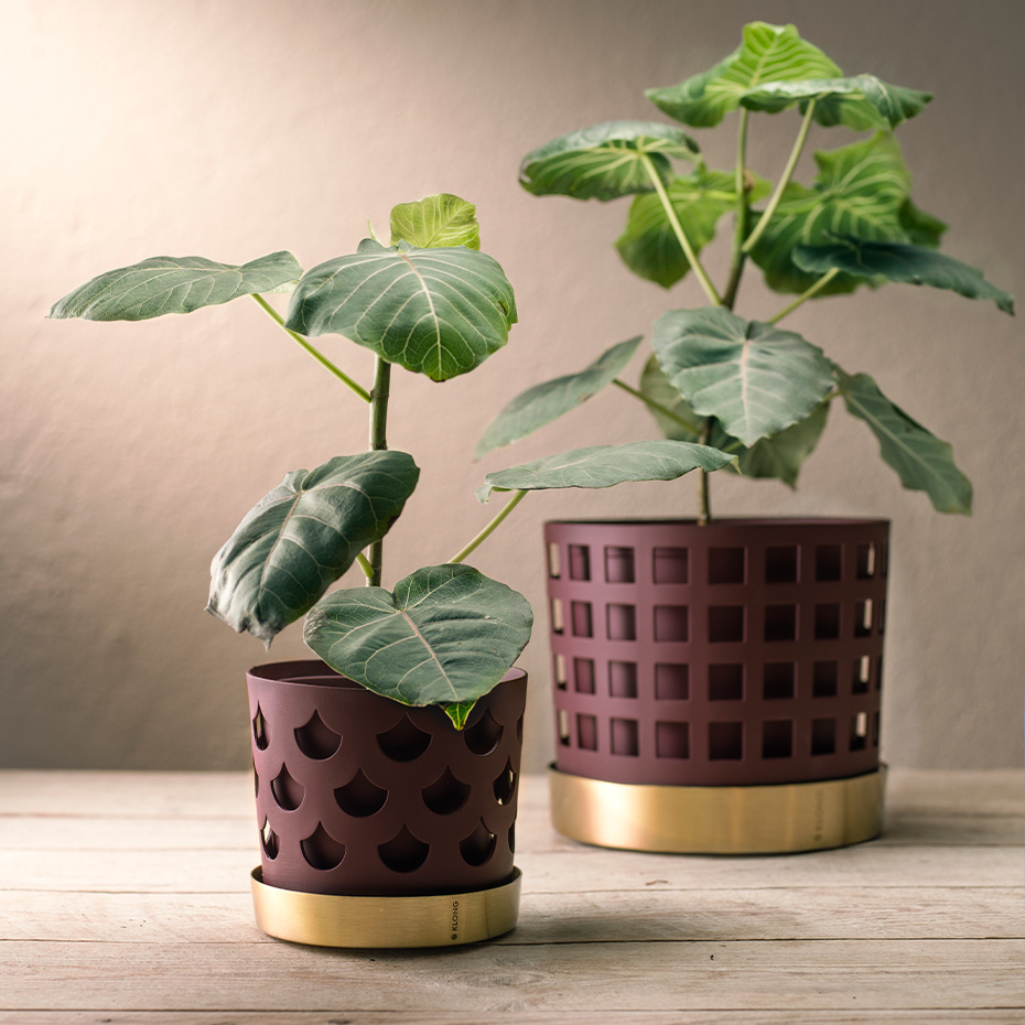 Trio Kruka Drop Medium Mörkröd