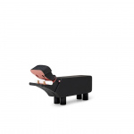 Flodhäst Trädjur Svart Flodhäst Trädjur Svart