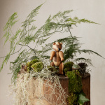 Björn Trädjur Medium Reworked Anniversary Blandade Träslag Björn Trädjur Medium Reworked Anniversary Blandade Träslag