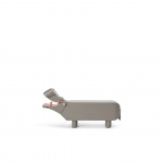 Flodhäst Trädjur Grå Flodhäst Trädjur Grå