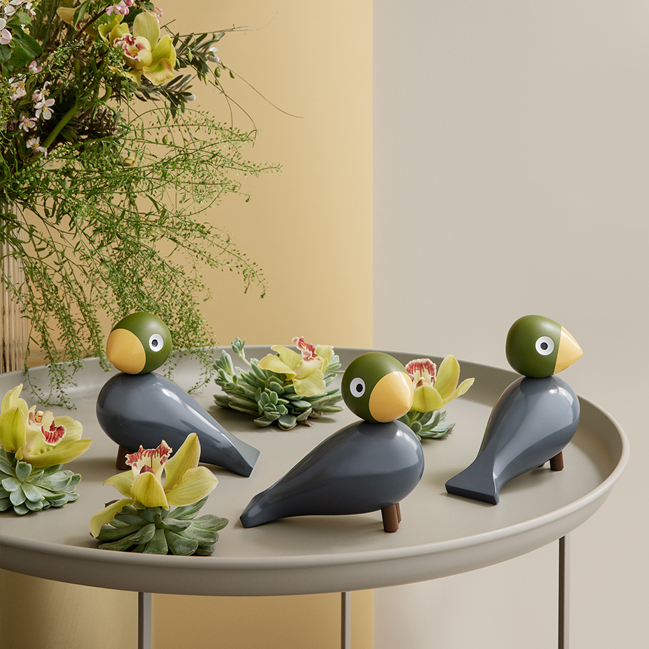 Nightingale Sångfågel Aqua