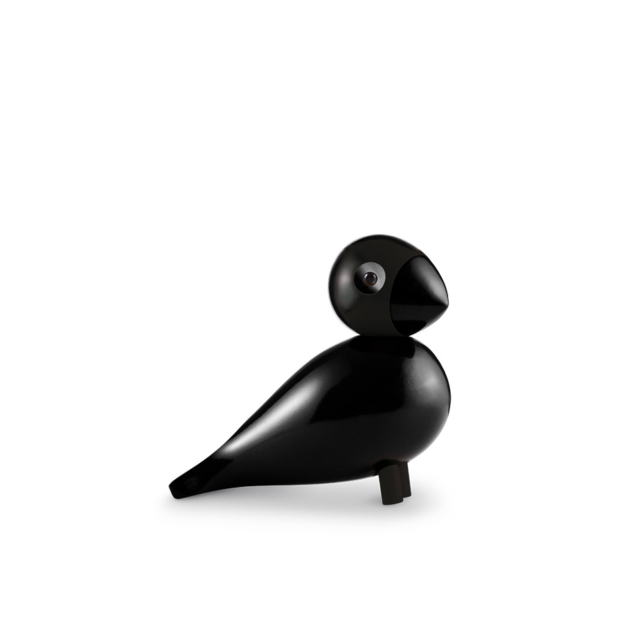 Ravn Sångfågel Stor Svart