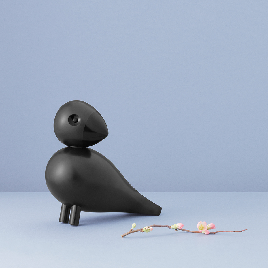 Ravn Sångfågel Stor Svart