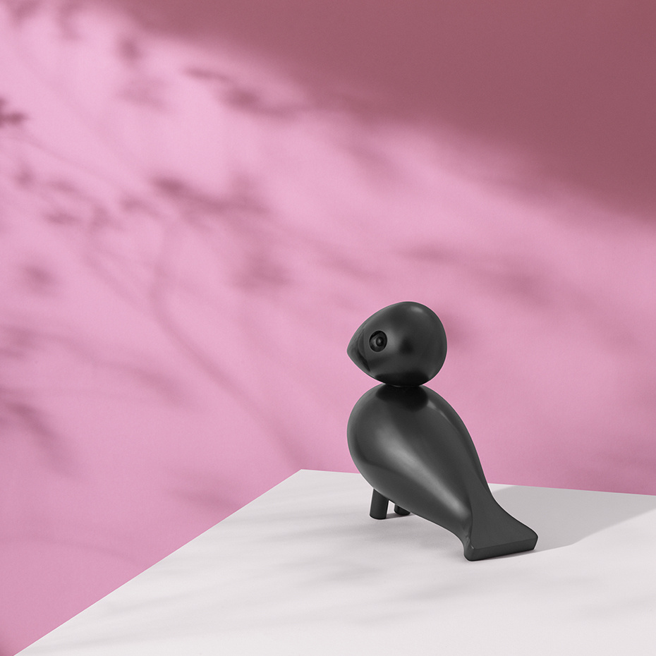 Ravn Sångfågel Stor Svart