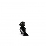Ravn Sångfågel Svart Ravn Sångfågel Svart