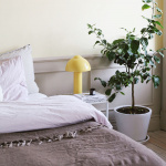 Buddy 23 Bordslampa Gul Buddy 23 Bordslampa Gul