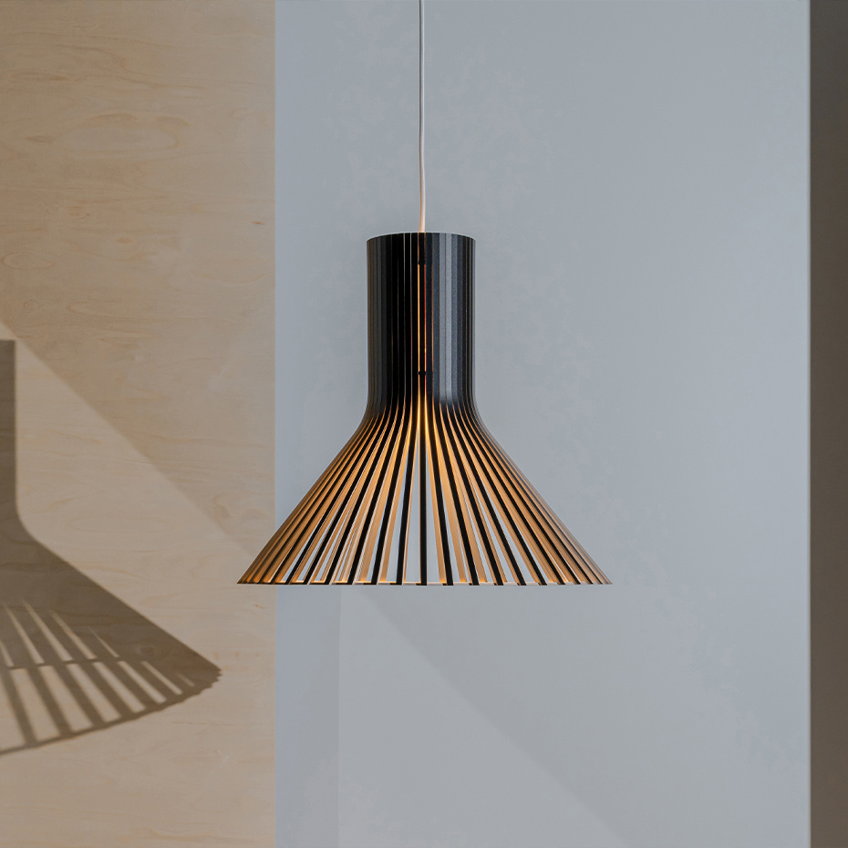 Puncto 4203 Pendel Birch