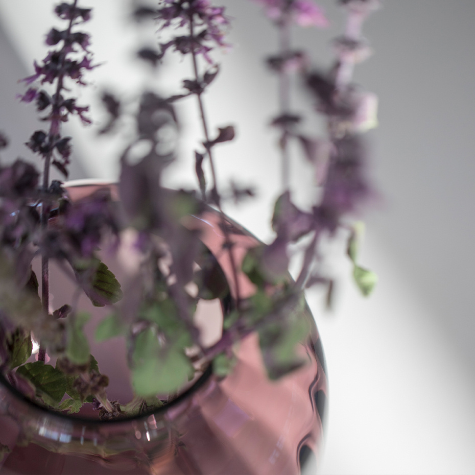 Primula Vas H12,5cm Plommon