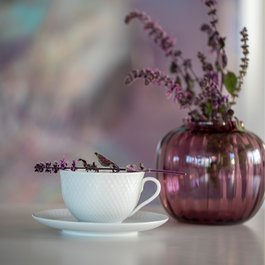 Primula Vas H12,5cm Plommon