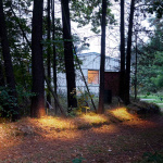 AJ Garden Pollare Short Black Med Fotplatta AJ Garden Pollare Short Black Med Fotplatta