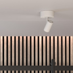 Tyson Spotlight Mattvit Tyson Spotlight Mattvit