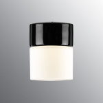Opus Taklampa/Vägglampa 100/125 Svart/Opalglas IP44 Opus Taklampa/Vägglampa 100/125 Svart/Opalglas IP44