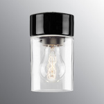 Opus Taklampa/Vägglampa 100/175 Svart/Klarglas IP44 Opus Taklampa/Vägglampa 100/175 Svart/Klarglas IP44