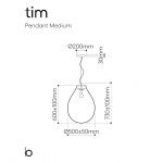 Tim Pendel Medium Clear/Silver